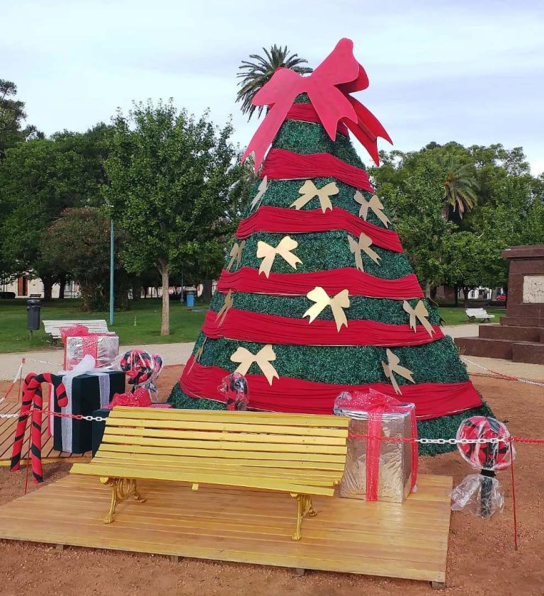 Un árbol de Navidad luce con esplendor en plaza Belgrano