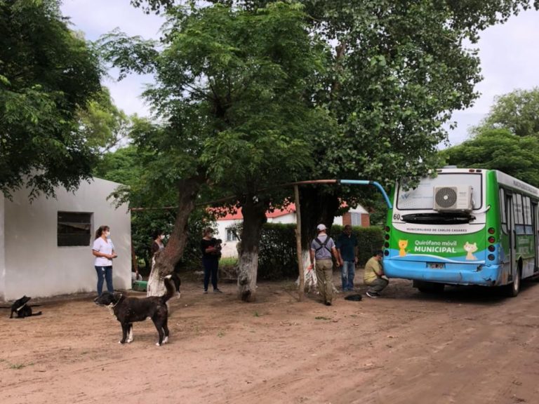 Ordoqui comenzó la campaña de castración y vacunación antirrábica