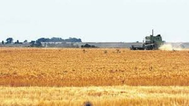 En un año, la Provincia generó más de 37 mil nuevos puestos de trabajo en el sector privado