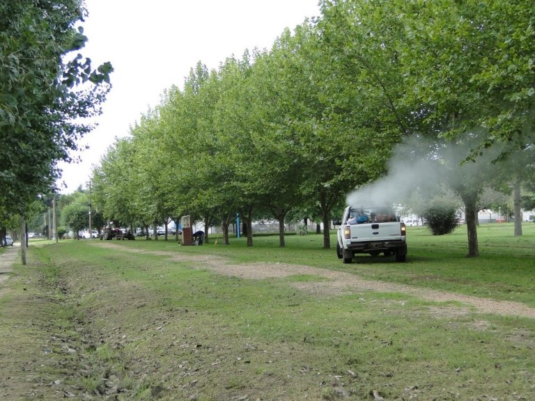 Comienza la fumigación contra mosquitos en la ciudad de Nueve de Julio