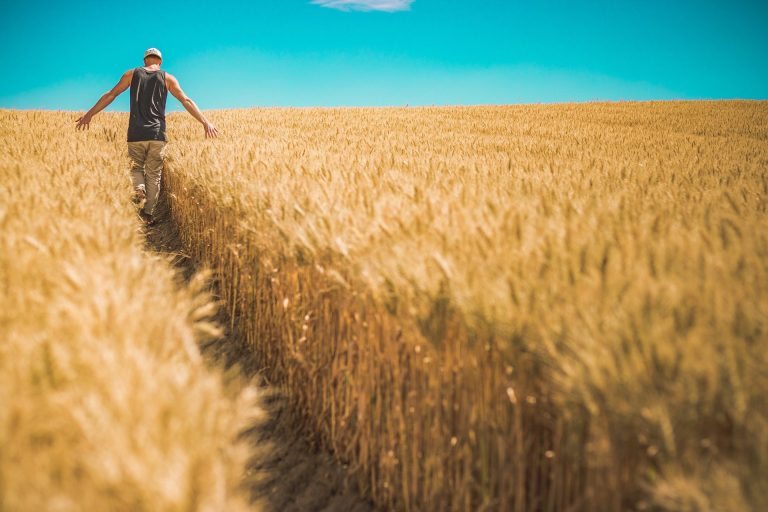 Negocios Agropecuarios: dos registros importantes de la actividad