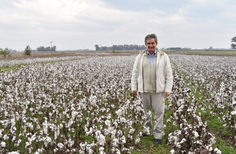 Primera Fiesta de Algodón Ecológico en Bragado