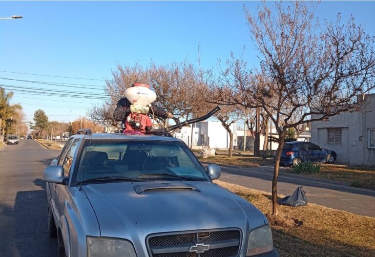 Se combate el Clavel del Aire