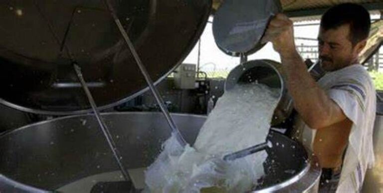 Producción lechera: Alineando los tambos para un buen segundo semestre en 2024