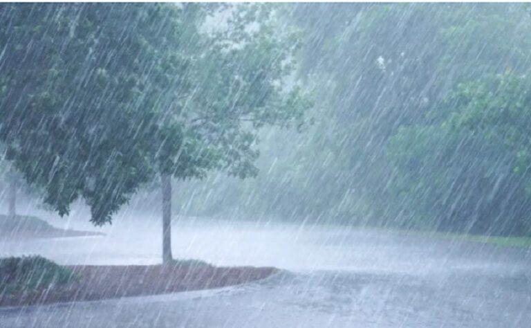 La lluvia fue de 20.8 mm