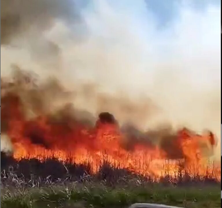 Incendio de pastizales en Ruta Provincial 65 cerca de Dudignac