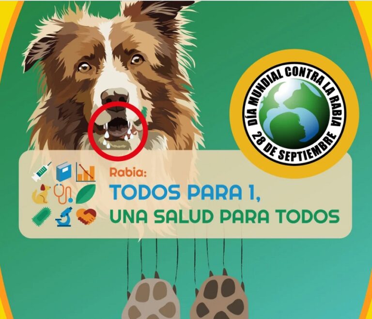 ‘Menos rabia, más salud’ es el compromiso de los veterinarios en el Día Mundial contra la Rabia