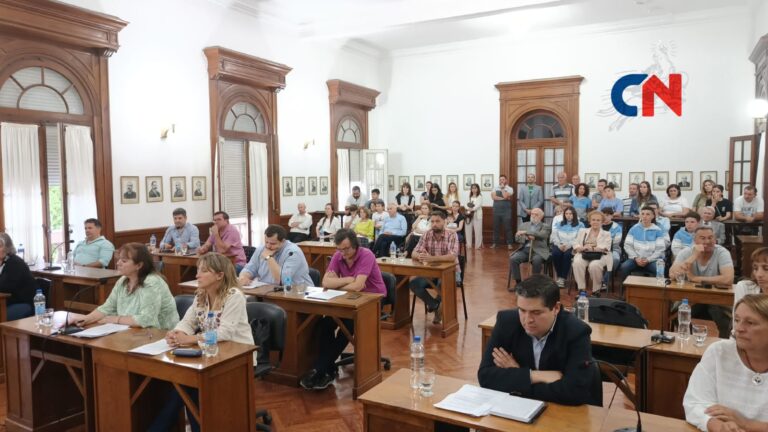 Distinción al Mérito a empresas, instituciones y personas hizo el Concejo Deliberante