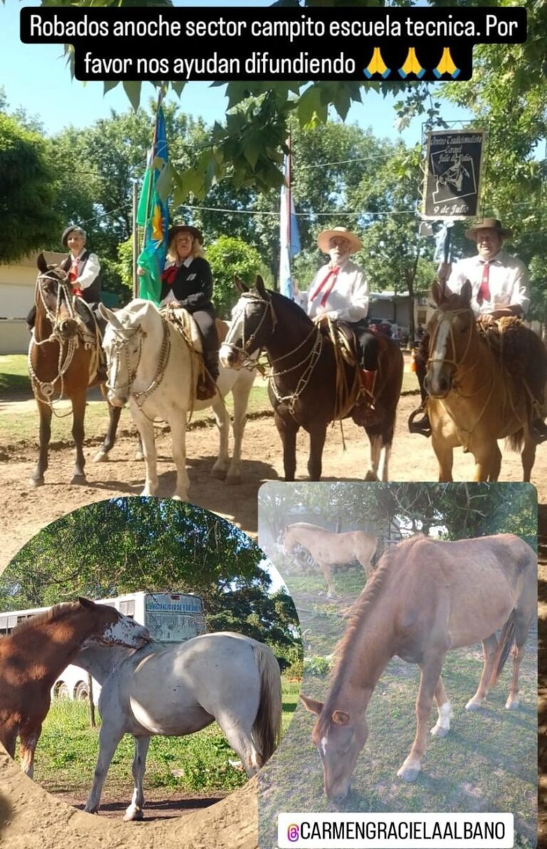 Llamado solidario: siete caballo fueron robados en cercanías del acceso a Nueve de Julio por Ruta 5