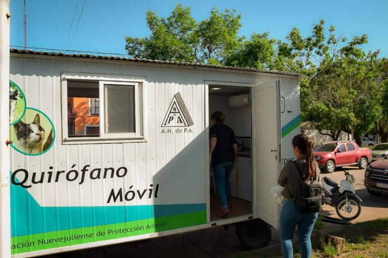 Jornada de castraciones en Barrio Diamantina