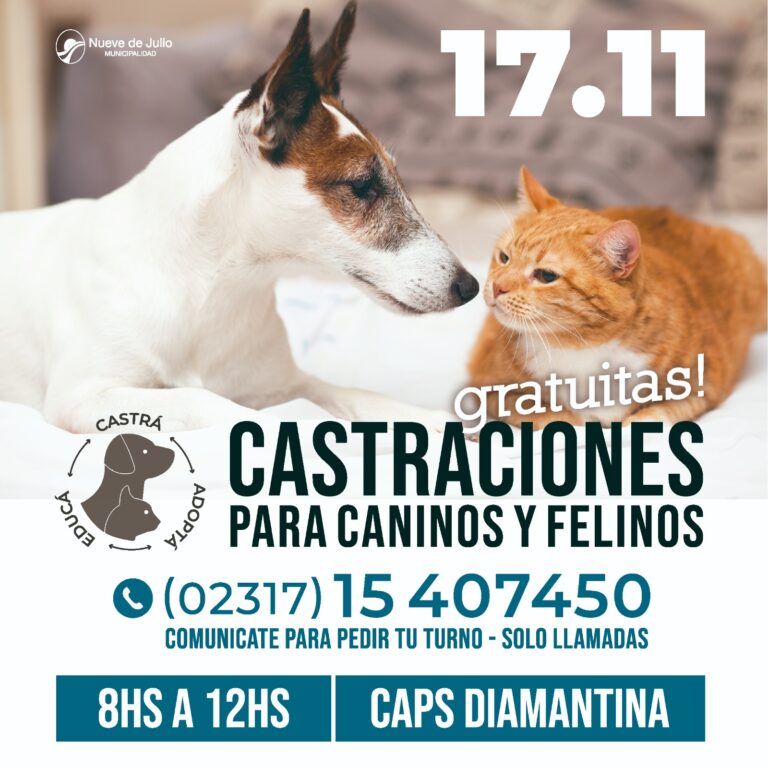 Barrio Diamantina se prepara para recibir al móvil de las castraciones de mascotas