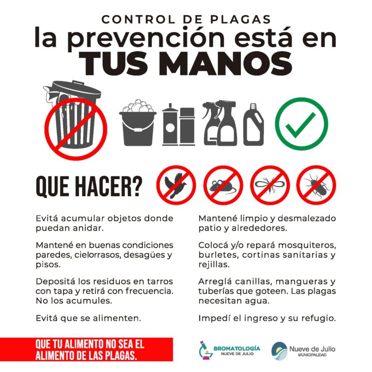 Bromatología insiste en hacer control de plagas