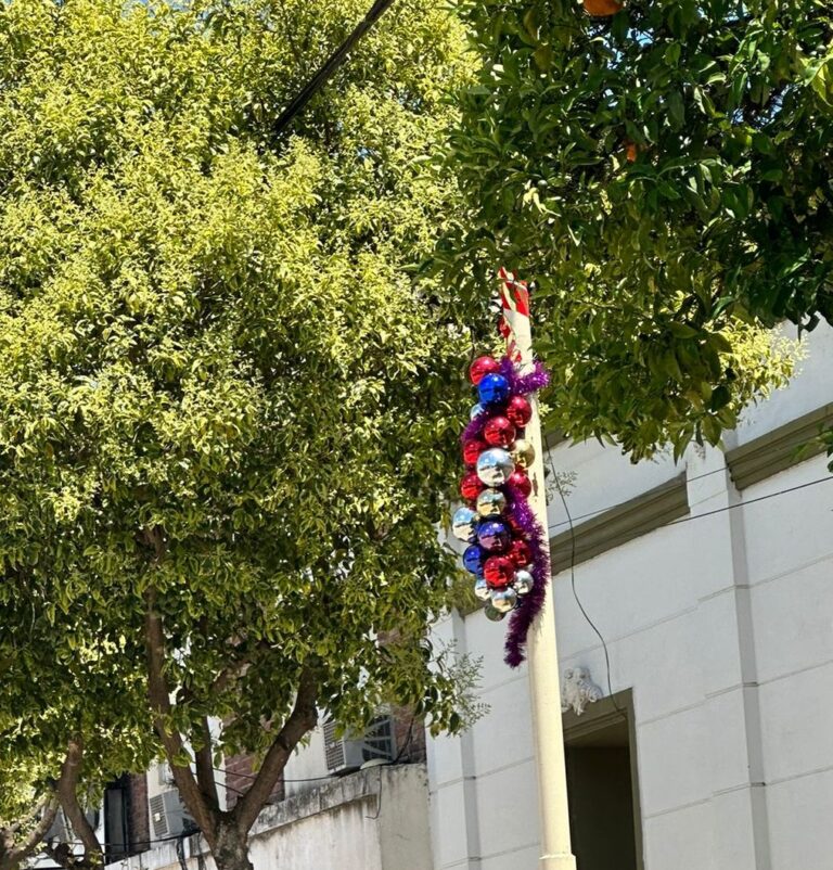 Vecinos creativos dan toque navideño a su cuadra
