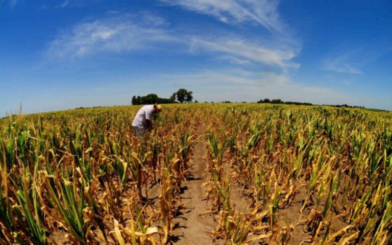 La Comuna convoca a los productores agropecuarios del partido de Nueve de Julio afectados por sequía