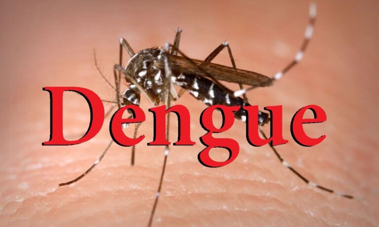 En provincia hay 34 casos importados de dengue y se convoca al descacharreo