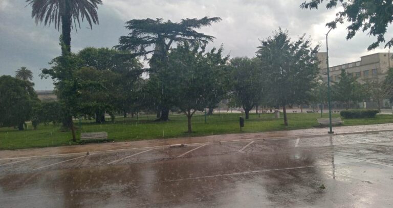 El total de la precipitación fue de 65.4 mm
