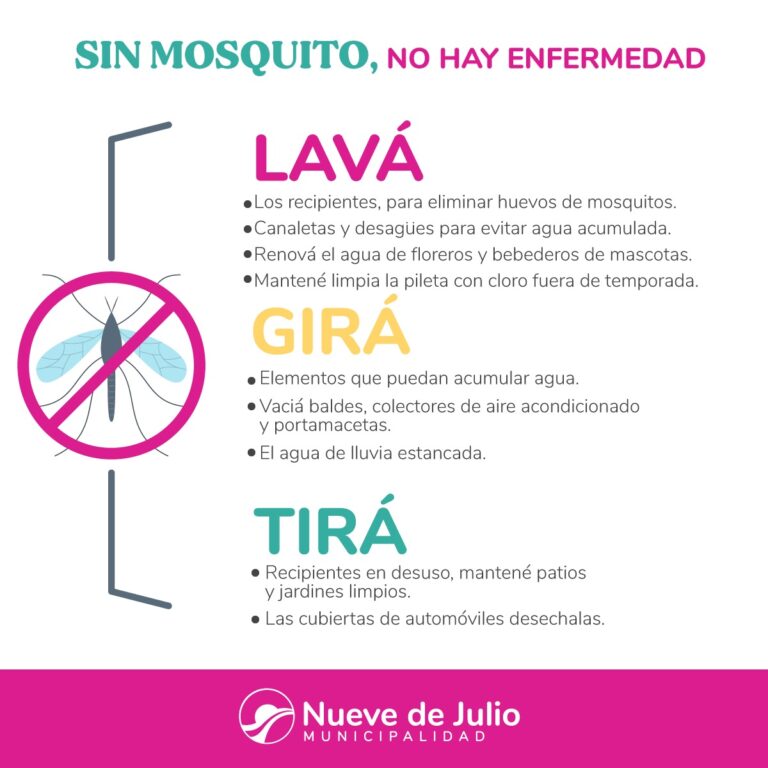 Recomendaciones para protegerse de los mosquitos