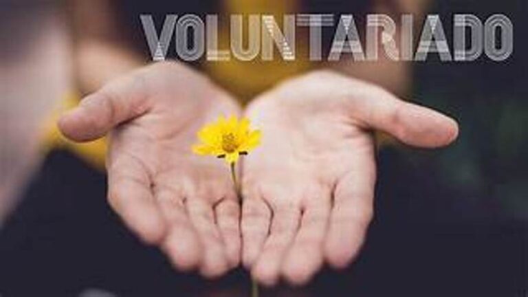 Día Internacional de los Voluntarios