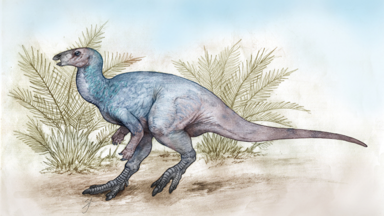 Tesoros paleontológicos de la Patagonia: descubren un nuevo dinosaurio de casi 100 millones de años