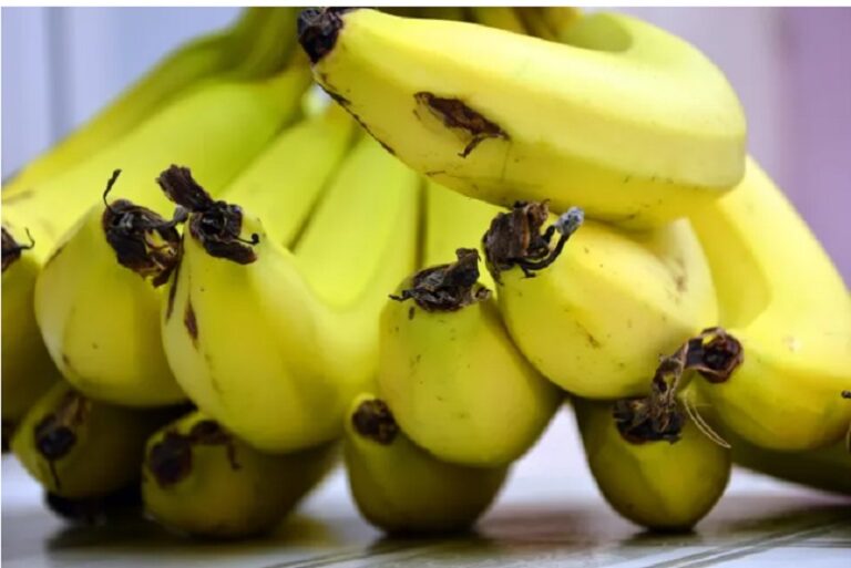 Día Internacional de la Banana: Descubre los beneficios de esta fruta