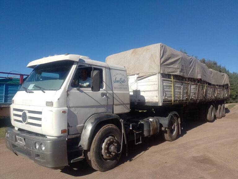 Se recuperaron más de 15,000 kg de cartón de la planta de separación de residuos