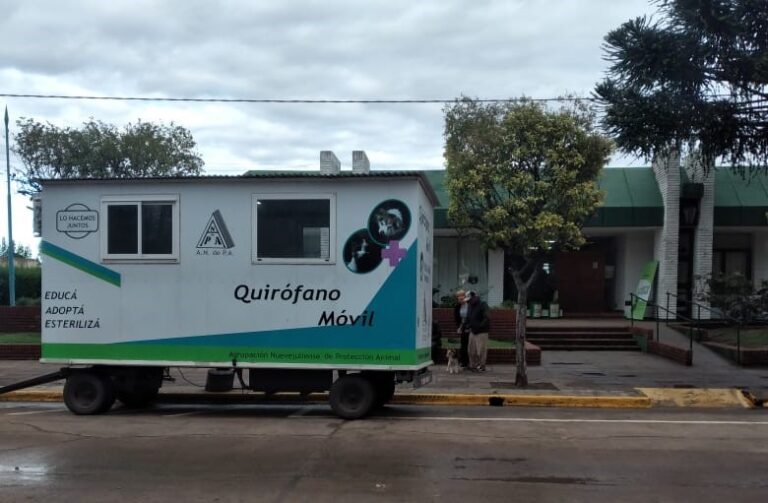 Castraciones de Mascotas en Dudignac y hasta mañana inclusiva