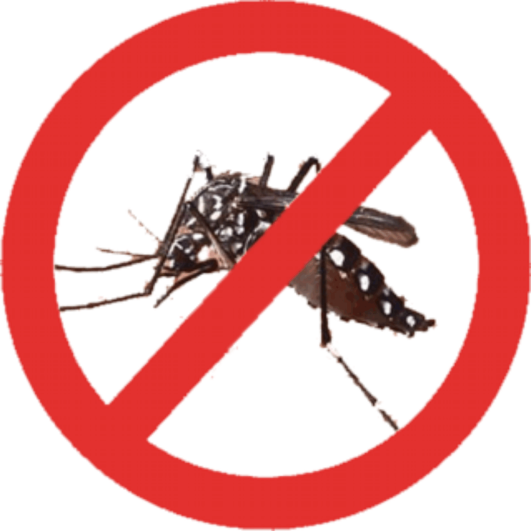 La Provincia lanza una campaña integral contra el dengue