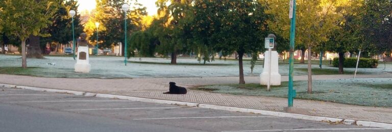 Se pronostica una semana fría con lloviznas aisladas y sol