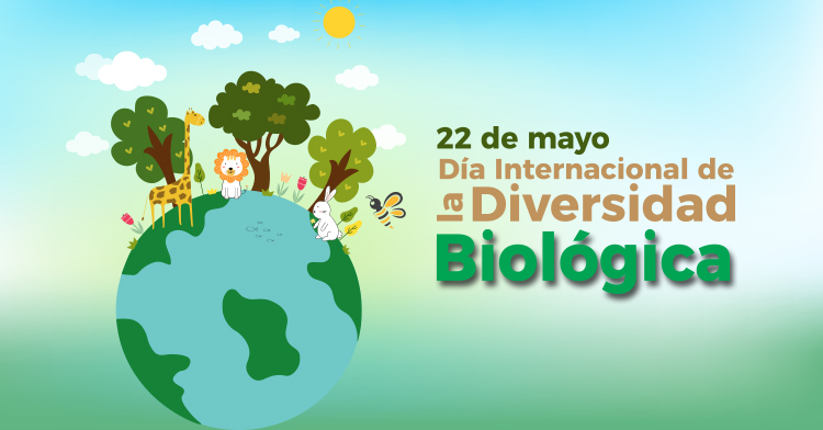 Día Internacional de la Diversidad Biológica 2024: “Sé parte del plan”