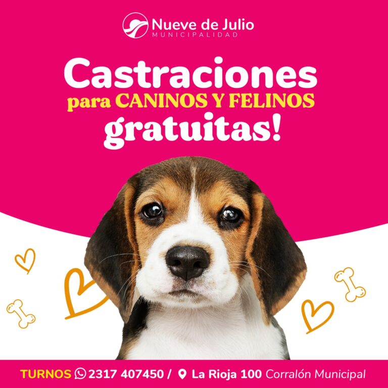 Continúa la campaña de castraciones en el Albergue Canino y Zoonosis