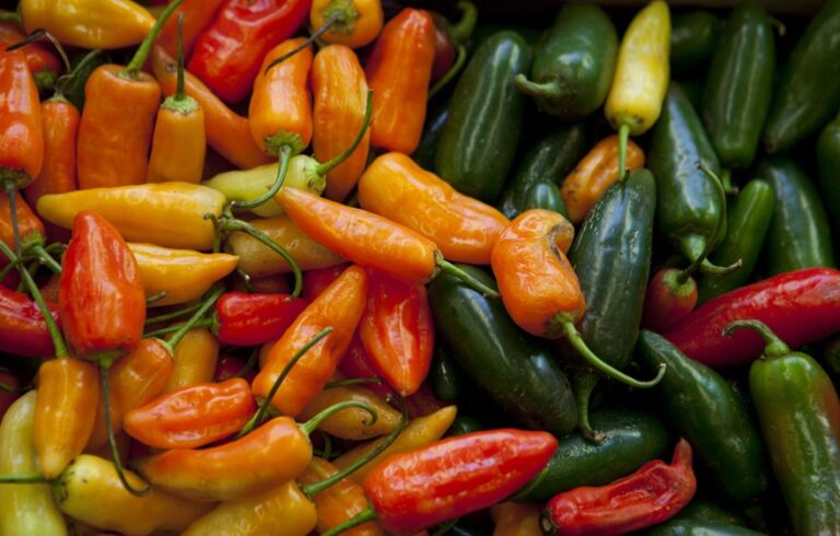 En el Día Mundial de la Horticultura el Senasa refuerza la importancia de una producción segura y saludable