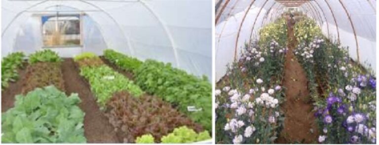 ¡Nueve de Julio: A las cosas!