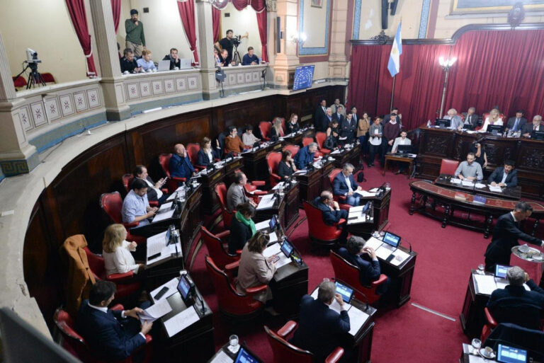Los Senadores Provinciales del PRO, PRO Libertad, UCR y La Libertad Avanza Condenan el Fraude Electoral en Venezuela