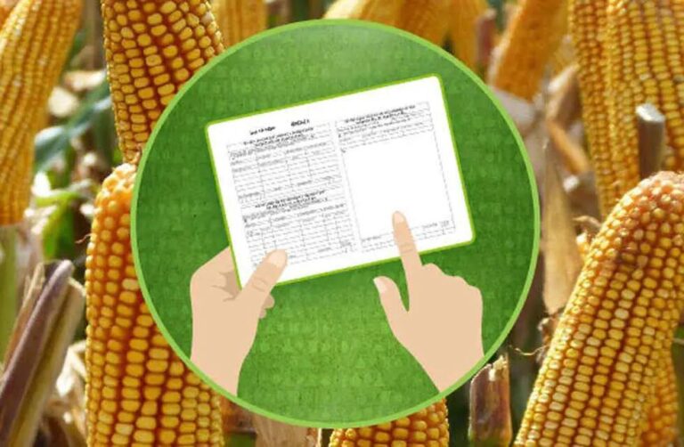 La comuna reclama declarar Recetas Agronómicas y promueve el uso responsable de Agroquímicos