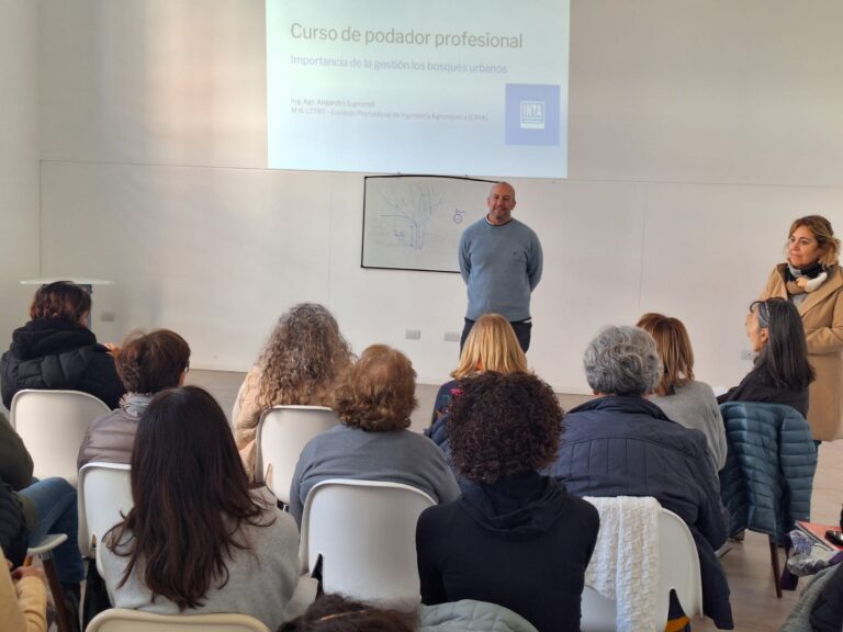 Capacitación sobre Técnicas de Poda: cuidando el arbolado en el distrito de Nueve de Julio