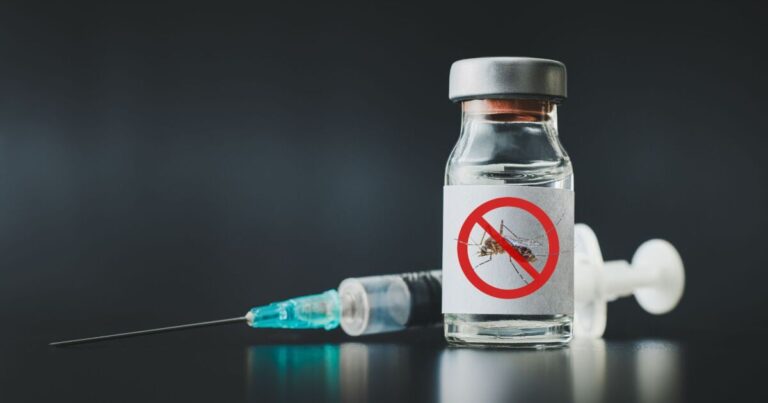 Se vacunará contra el dengue en las zonas más afectadas