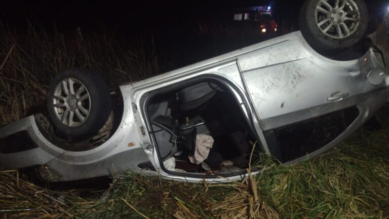 En Bayauca se multan a 4 cazadores de Rojas que lo hacían con galgos y escopetas