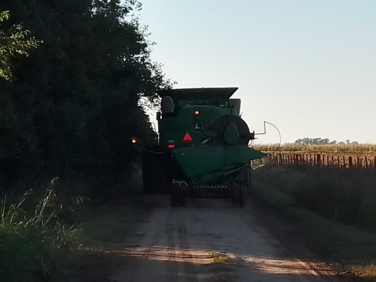 Se avanza en mitigar a las plagas en el distrito