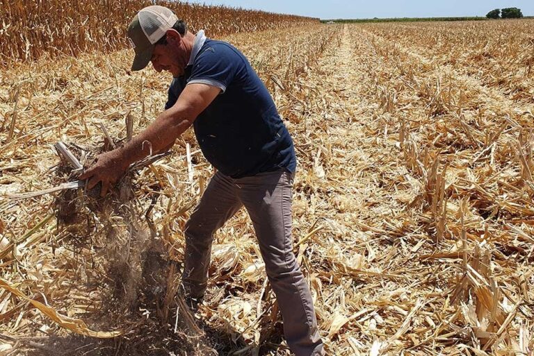Mueren en la provincia una niña y un varón por Fiebre Hemorrágica Argentina