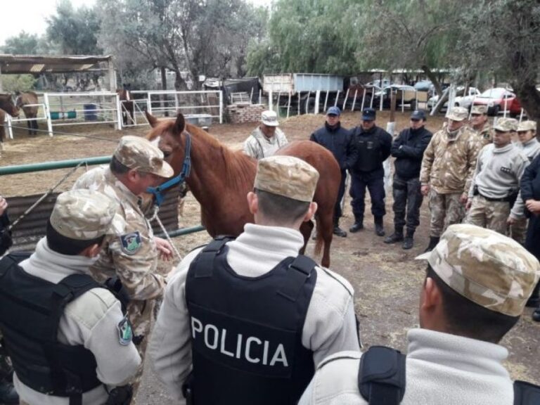 Se impulsa la creación de Unidades Fiscales de Investigación y Juicio, especializadas en Delitos Rurales y Delitos Conexos.