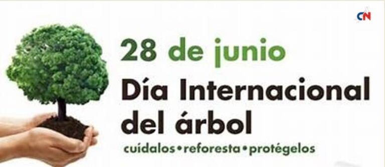 Celebración y significado del Día Mundial del Árbol