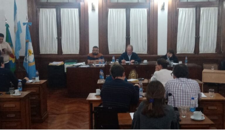 Concejo Deliberante: tratará reconocimientos deportivos, desarrollo comercial y honores especiales