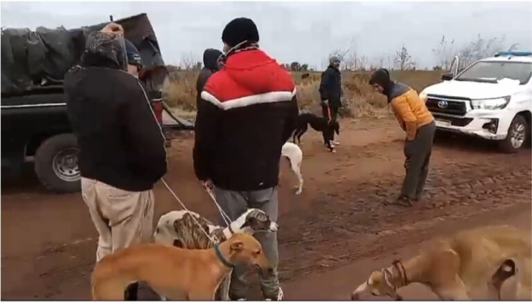 Controles del Comando de Prevención Rural Nueve de Julio contra la caza furtiva y de productos cárnicos