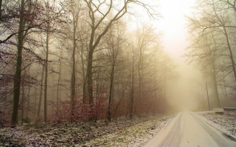 Llegó el invierno 2024: Previsiones y recomendaciones para combatir el frío