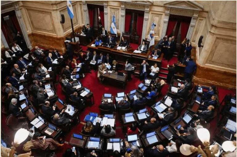 El Senado Nacional rechazó el veto de Milei y restableció la ley de emergencia en discapacidad