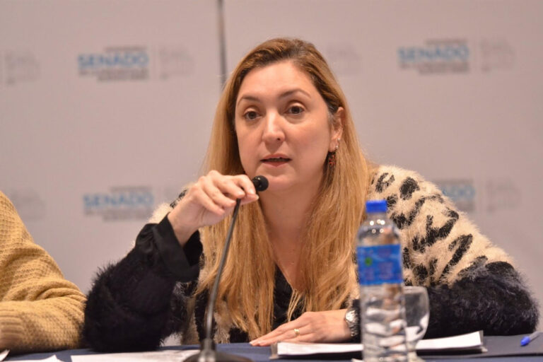 Ahumada rechazó la eliminación de la repitencia en escuelas secundarias: “Compromete la formación”