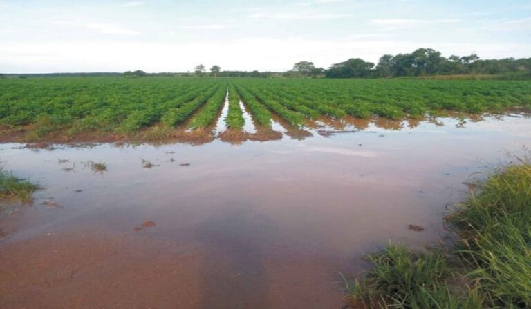 Exención de Impuesto Rural por inundaciones alcanza Trenque Lauquen y Gral. Villegas