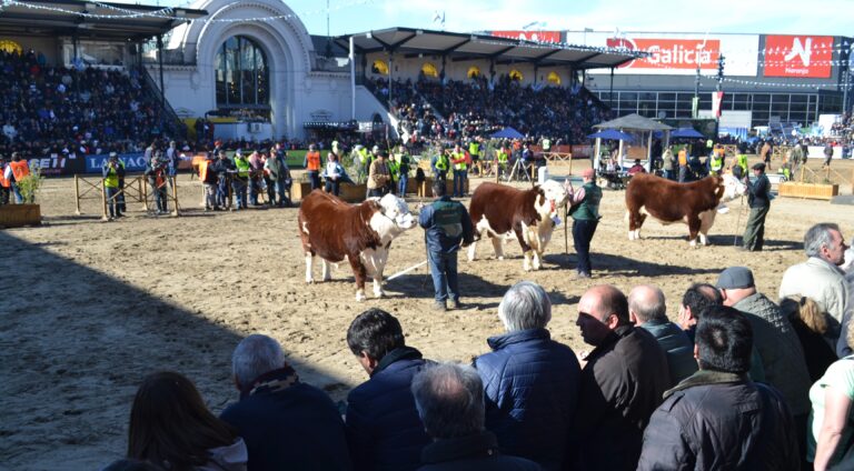Desde la Sociedad Rural nuevejuliense se invita a visitar la Expo Palermo 2024