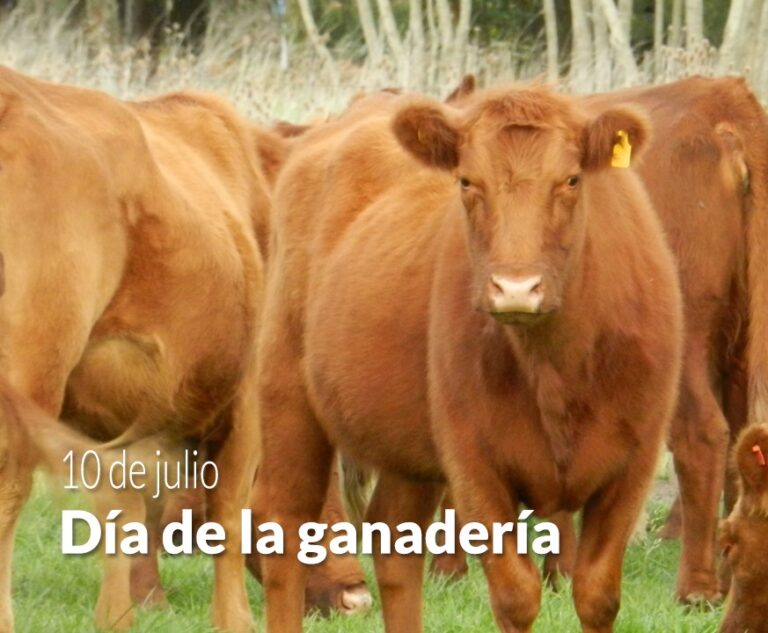 Es el día de la Ganadería resaltando el crecimiento del stock ganadero