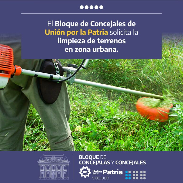 Solicitan limpieza urgente de terrenos abandonados en Nueve de Julio